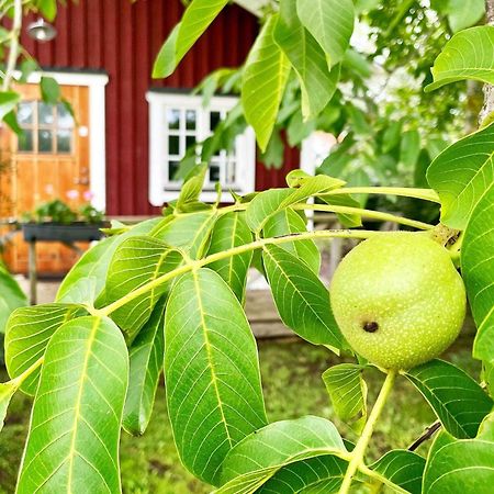 Holiday Home Malaretorpsvaegen Borgholm Dış mekan fotoğraf