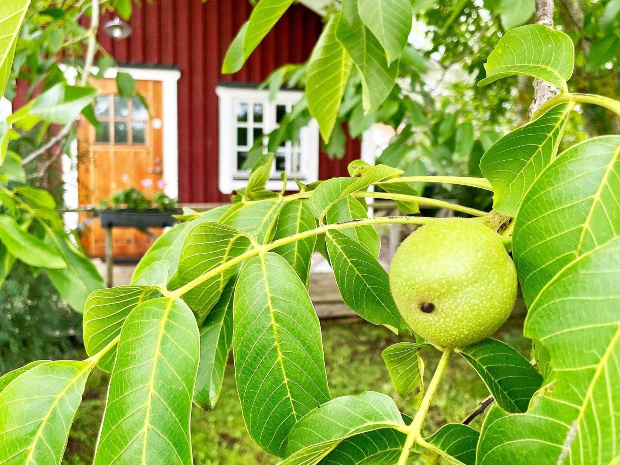 Holiday Home Malaretorpsvaegen Borgholm Dış mekan fotoğraf